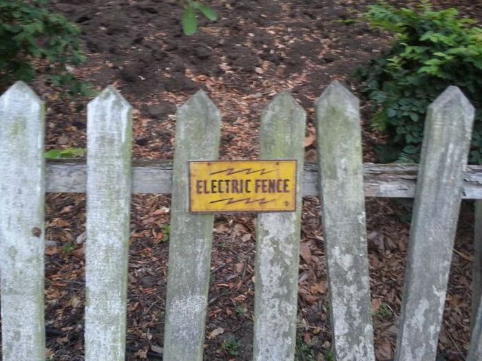 Seems Legit