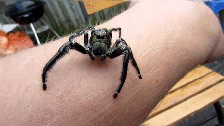Nope of the week