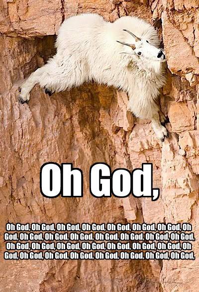 "This is fine. I'm a mountain goat, I can do this... I NEED ***ING HELP."