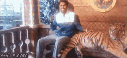 Let's see if he runs away if I do this.. ROAR! Humans, hehe.
