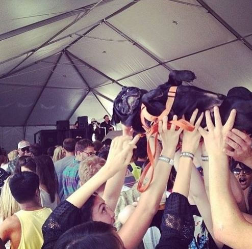 Crowd surfing!