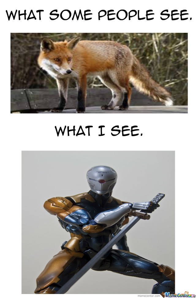 Gray Foxes