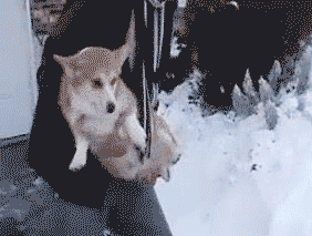"i dont wanna snow, i wanna cuddle"