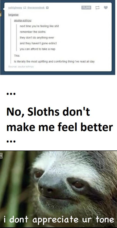 Do not, i repeat, DO NOT enrage the sloths!