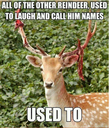 Don't mess with Rudolph