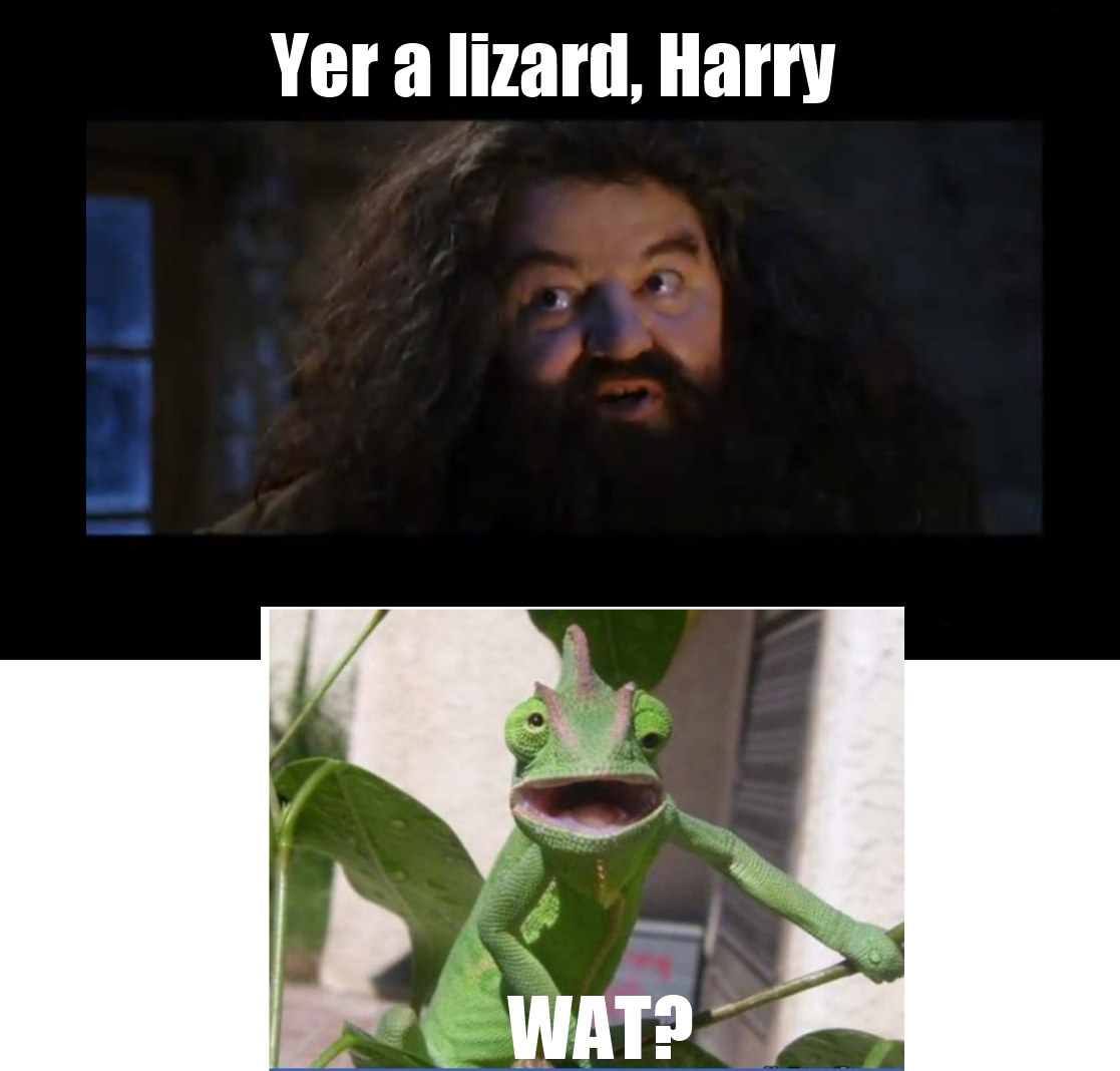 Yer a lizard, Harry