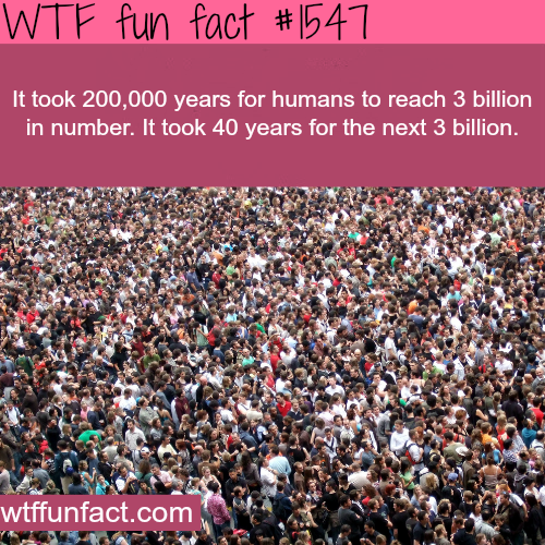 Took 200,000 years for humans to reach 3 billion