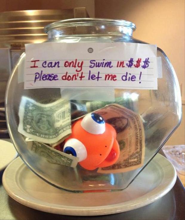 Creative Tip Jar at my Local Coffee Shop