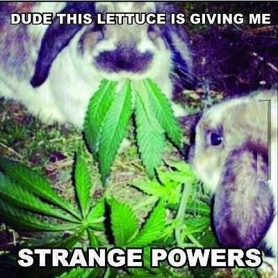I wonder, what kind of power
