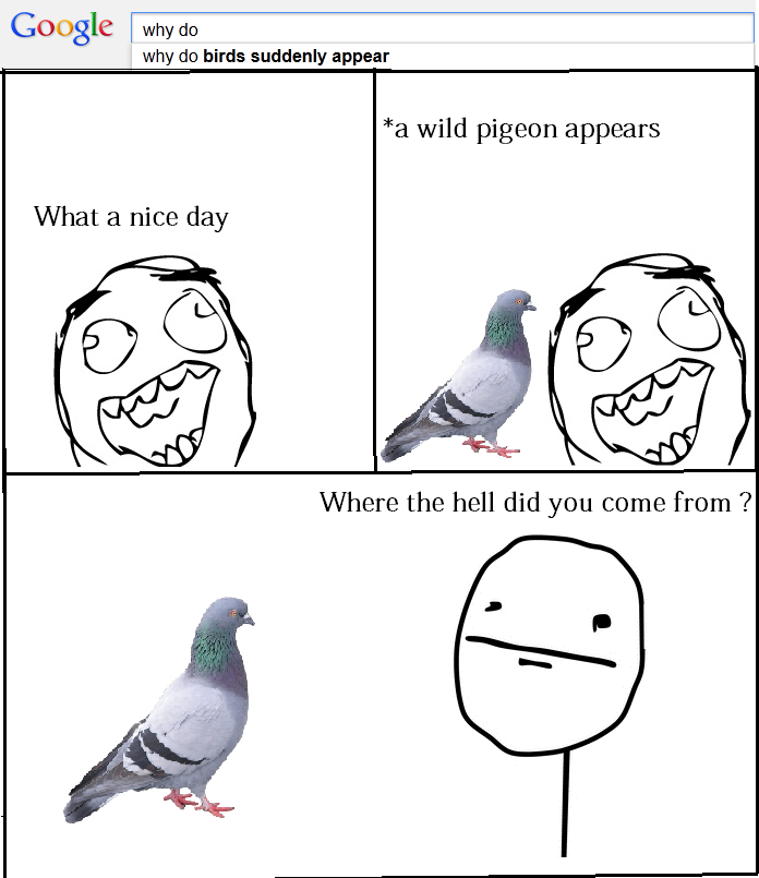 Birds . . .