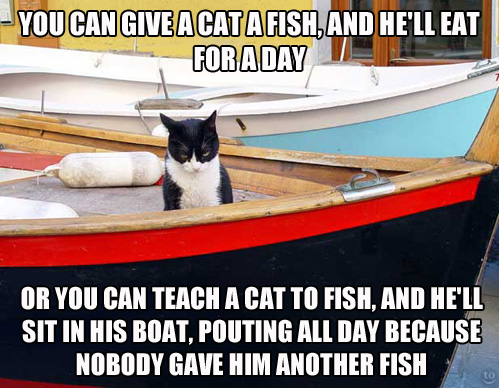 stupid cats...