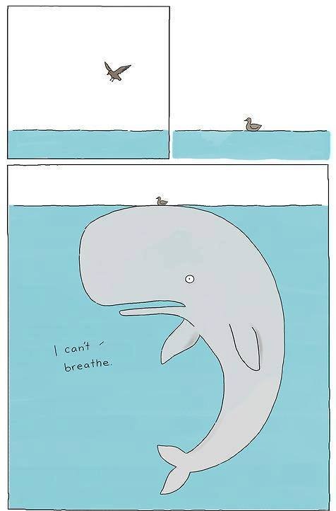 whale plz
