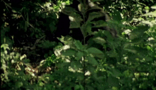 I fear no man... Oh shit...!