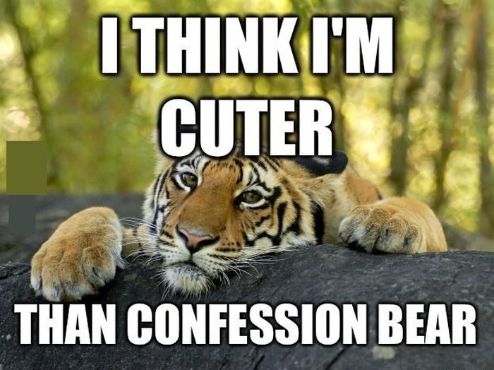 Confession Tiger..