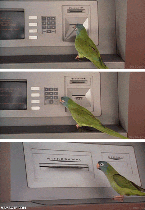 I let my parrot do all my banking.