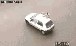 Work of police K9