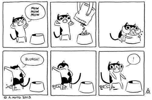 Meow