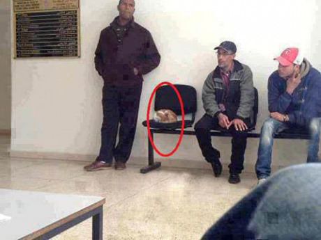 A man kept standing because he didn't want to wake the sleeping the cat on the chair.