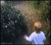 Guerilla fighter cat