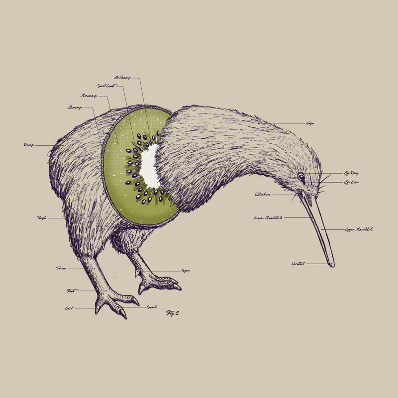 As a kiwi, I approve this.
