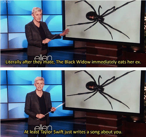 Ellen on black widow spiders