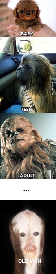 Life of chewbacca