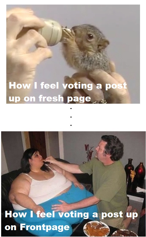 how it feels to vote a post up