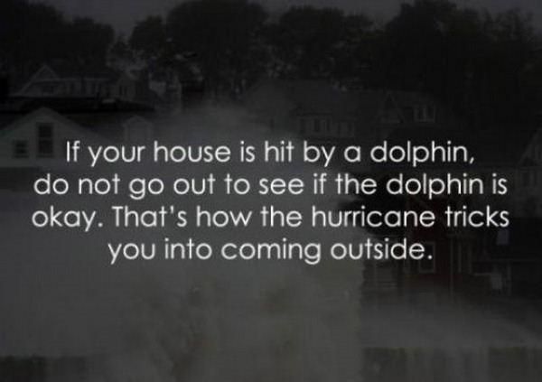 Dolphin trick