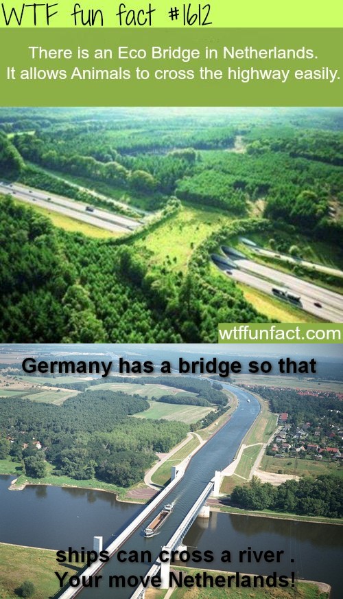 The bridge is near Magdeburg!
