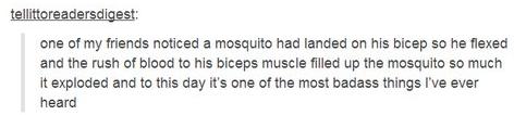Killing mosquitoes like a badass