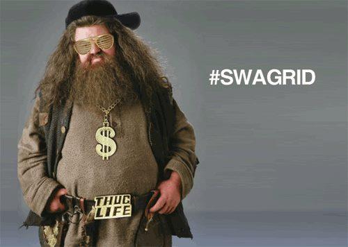 He's got 99 problems but a ( golden ) snitch ain't one...