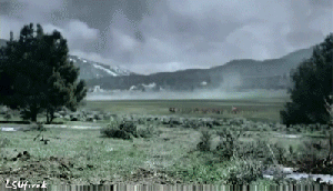the most American gif ever
