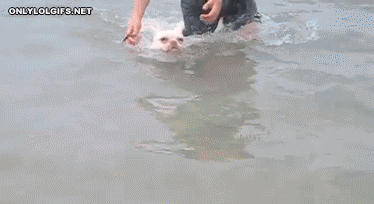 Let me go, the fish need me