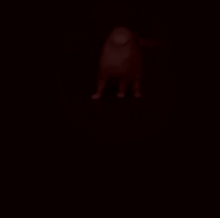 Silent Hill Cat