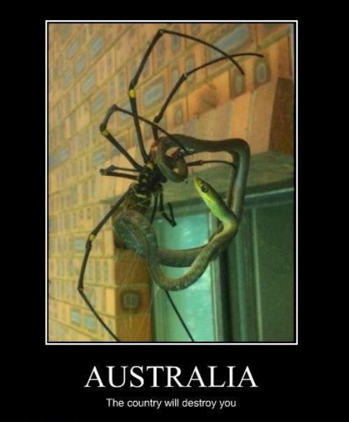 Just Australia