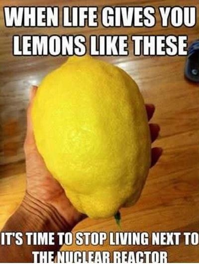 Holy Sh*t Lemons