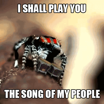 I shall play you the song of my people