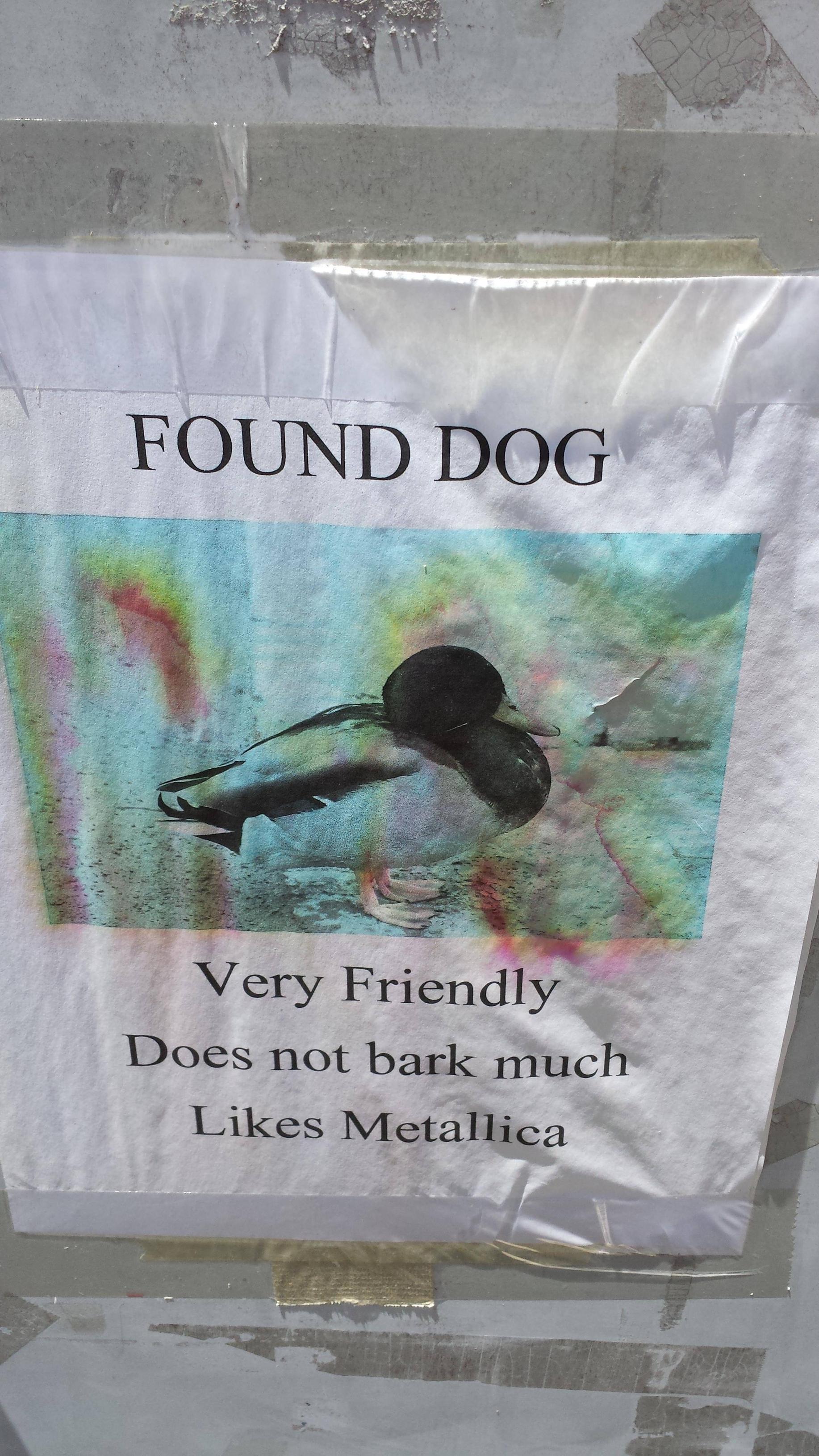 I hope they get their dog back.