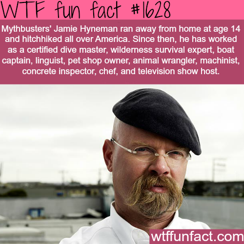 Mythbusters' Jamie Hyneman ran away from home at age 14