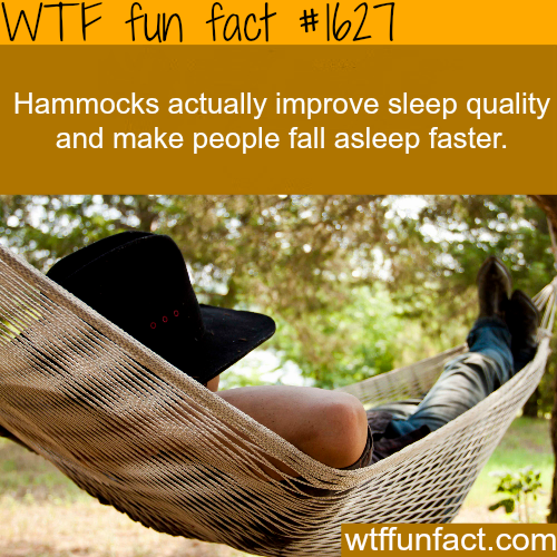 Hammocks actually improve sleep quality