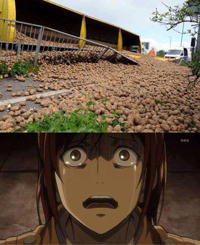 potatoes ..