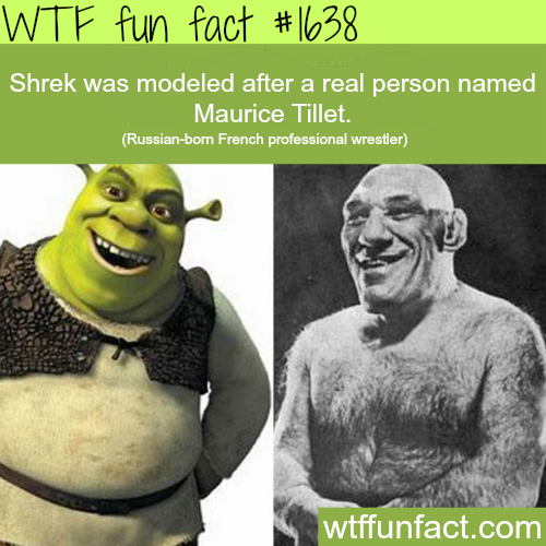 Shrek was modeled after a real person