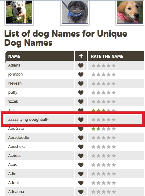 So I was looking a name for my new dog...