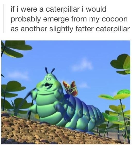 If I was a caterpillar