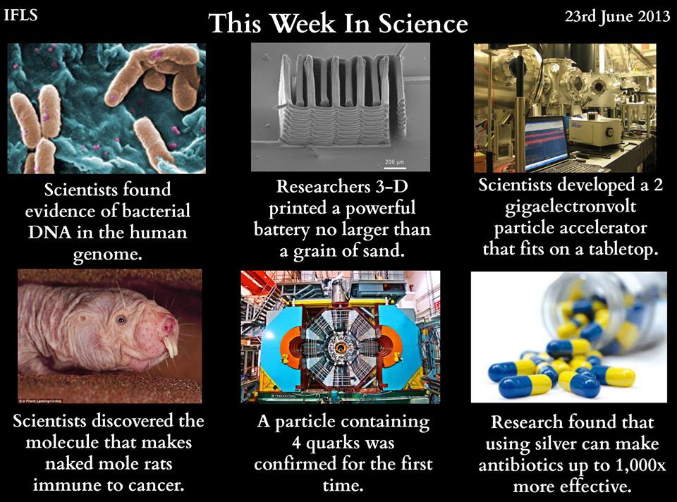 a week in a science