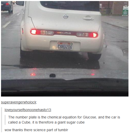 clever plates