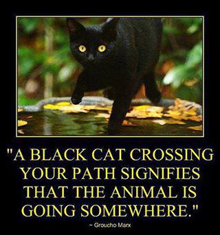 Yeah , its signifies the cat is going somewhere!!!..