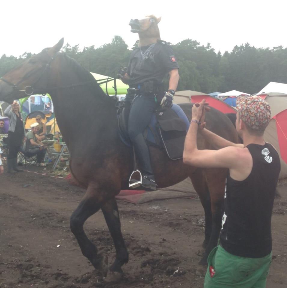 German horse horse Police