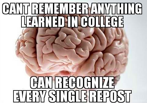 Scumbag brain...