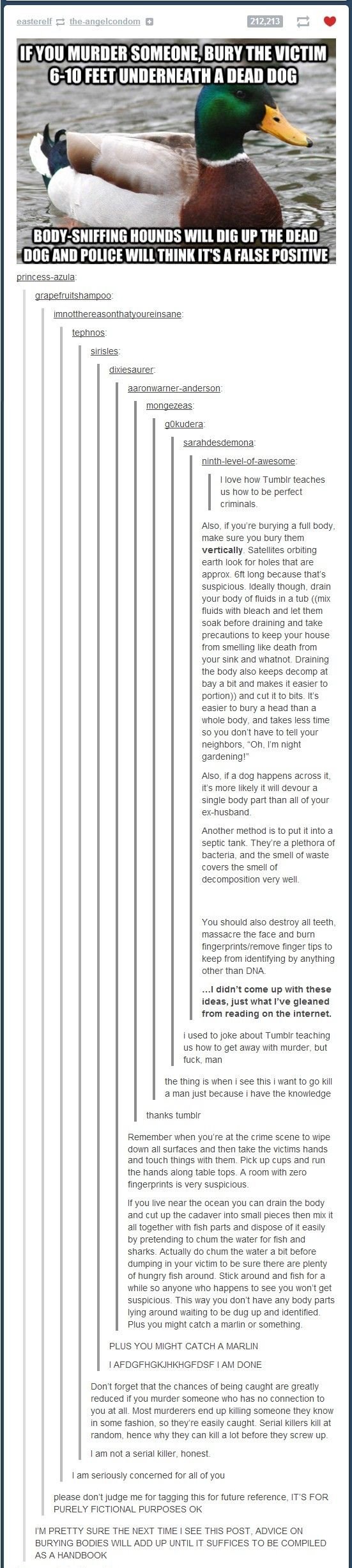 tumblr- a site that teaches you about murder